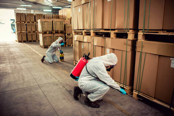Best Pest Removal Services  in Combes, TX