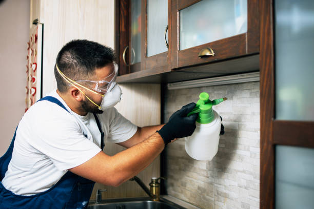 Pest Control Cost in Combes, TX