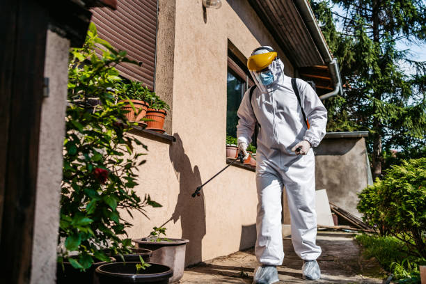 Best Best Pest Control Companies  in Combes, TX