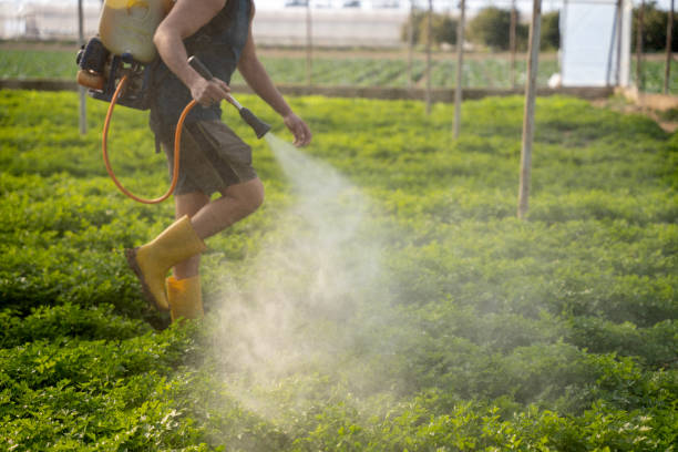 Best Residential Pest Control  in Combes, TX