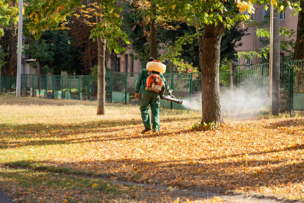 Best Pest Control Near Me  in Combes, TX