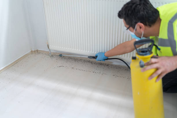 Best Local Pest Control Services  in Combes, TX